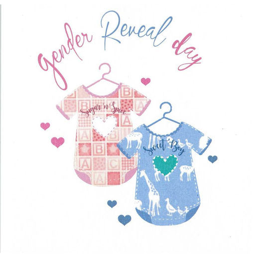 Picture of GENDER REVEAL DAY CARD